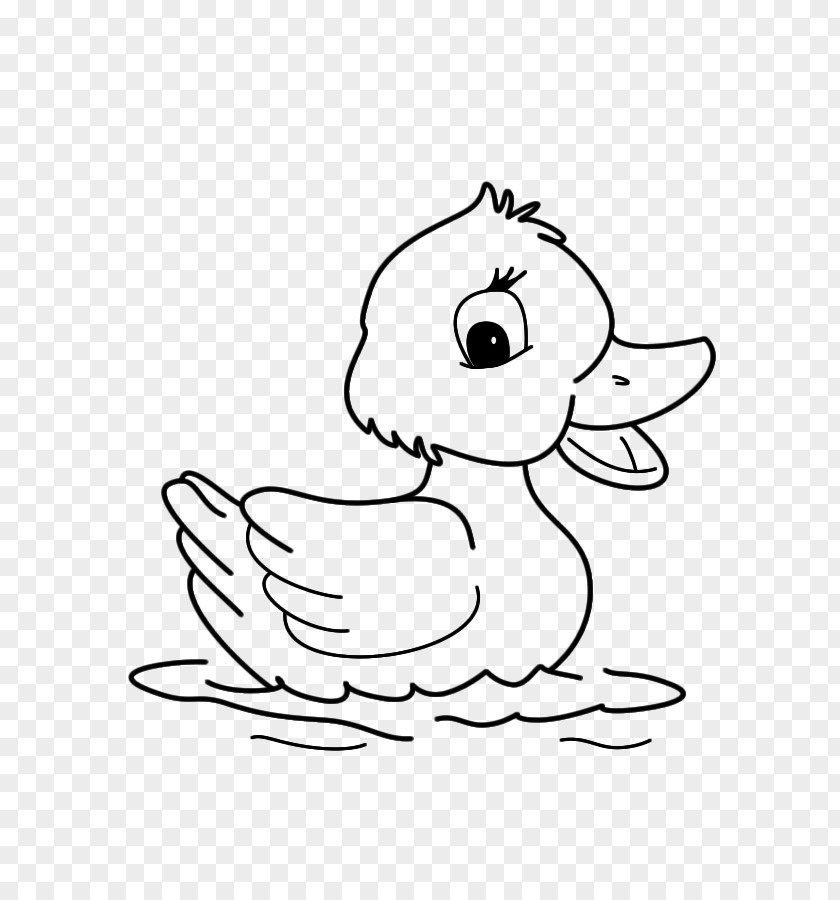 Duck Water Bird Goose Cygnini PNG