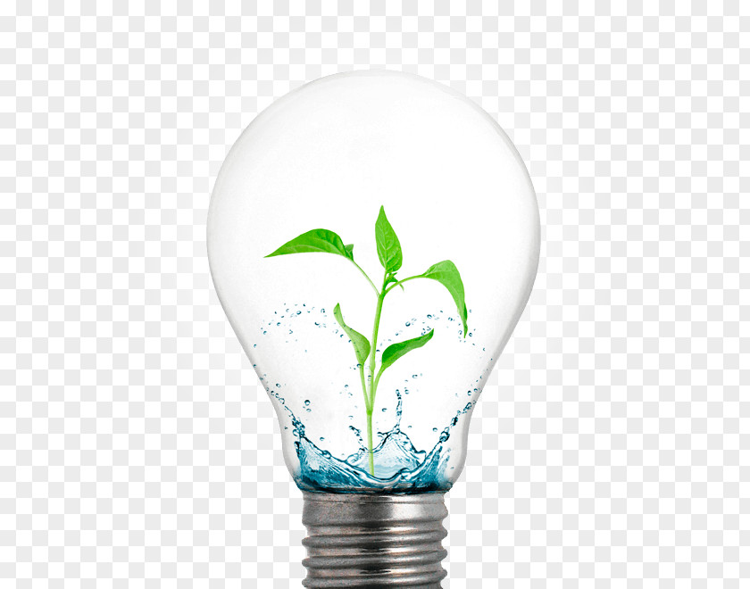Light Incandescent Bulb Light-emitting Diode Electric PNG