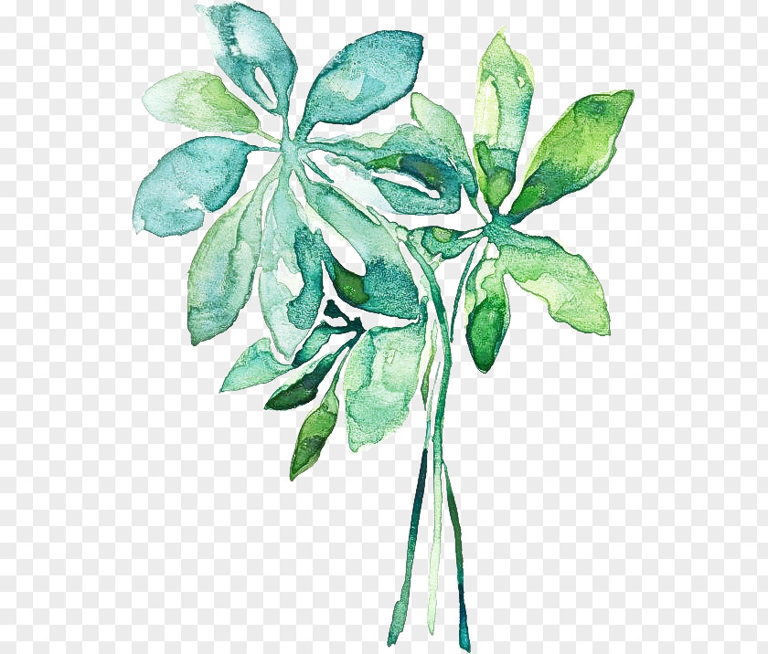Plant Stem Tree Leaf Flower PNG