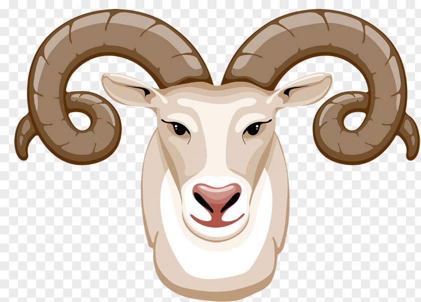 Sheep Goat Vector Graphics Clip Art PNG