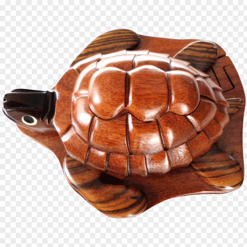 Wood Puzzle Box Tortoise Turtle PNG