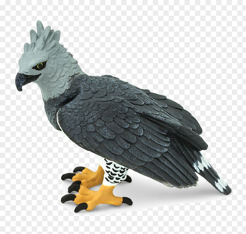 Bird Harpy Eagle Safari Ltd Bald PNG