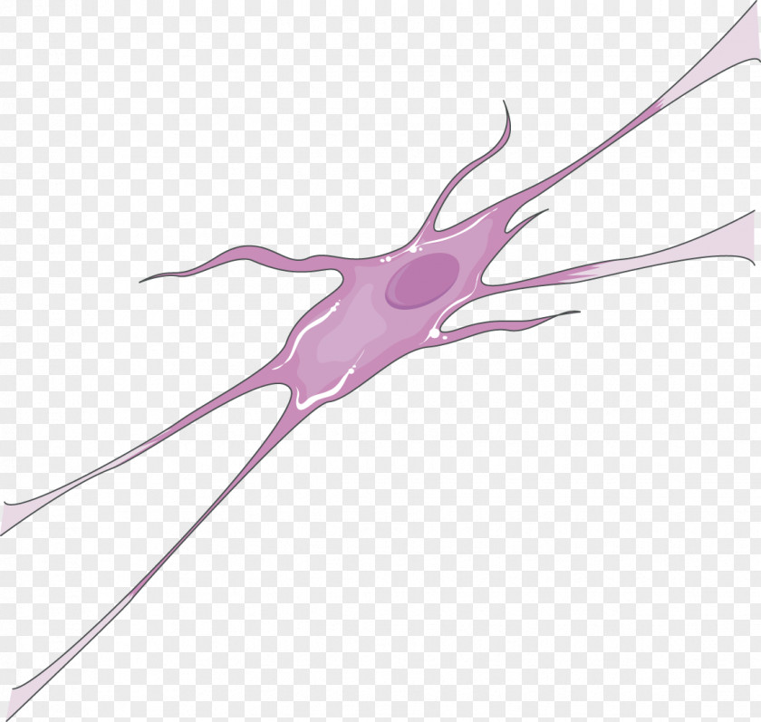 Neuron Medicine Neurology Rheumatology Ophthalmology PNG