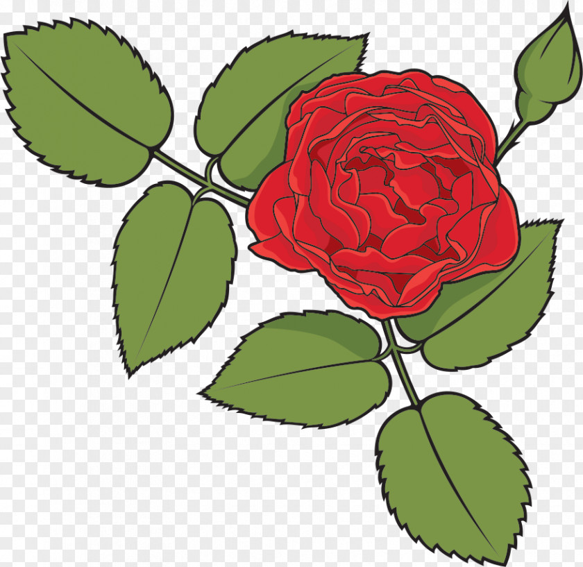One Flower Rose Valentines Day PNG