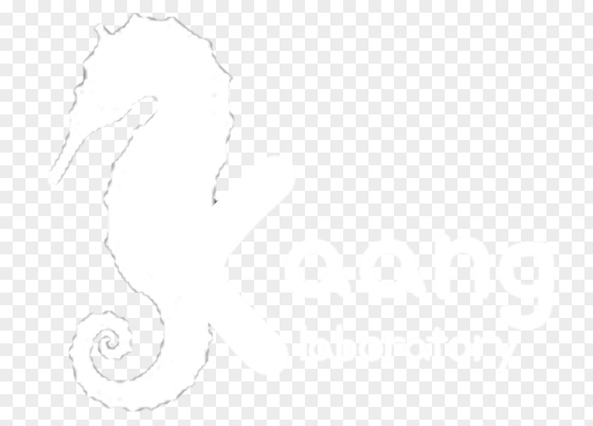 Computer Line Art White Desktop Wallpaper Sketch PNG