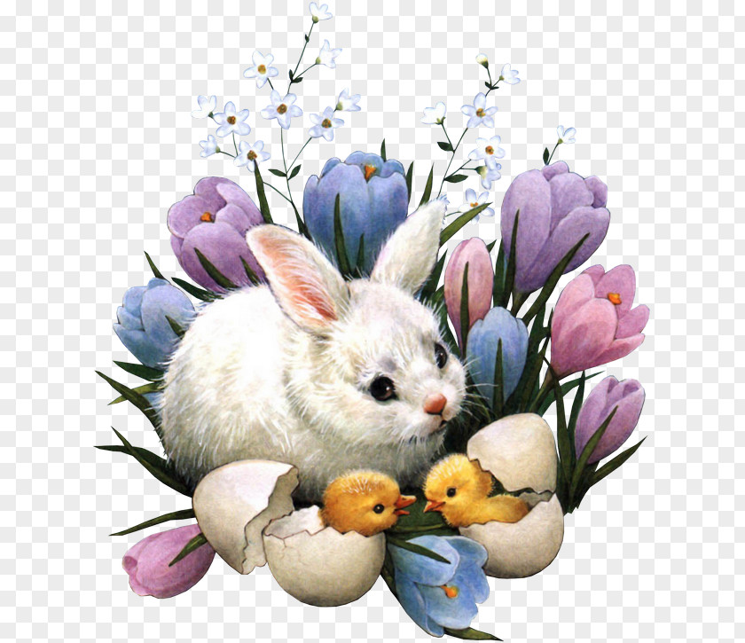 Easter Bunny Happy Easter! Egg Christmas PNG
