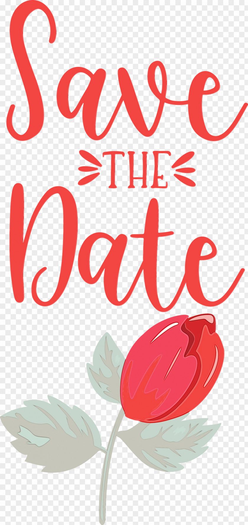 Floral Design PNG