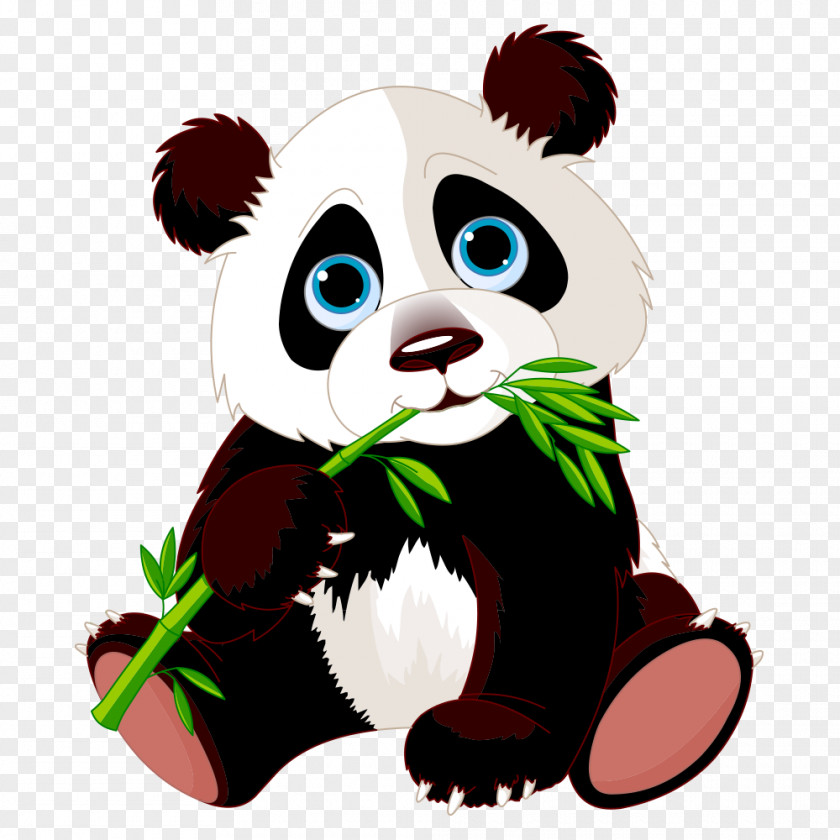 Panda Eating Bamboo Giant Stock Photography Clip Art PNG