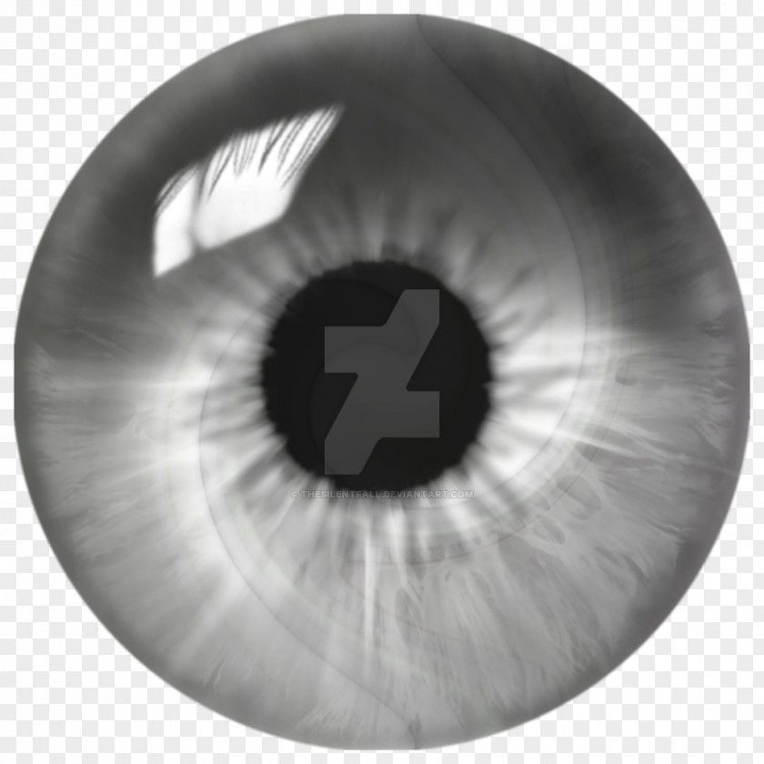 Quill And Ink Eye Iris Light Silver Grey PNG