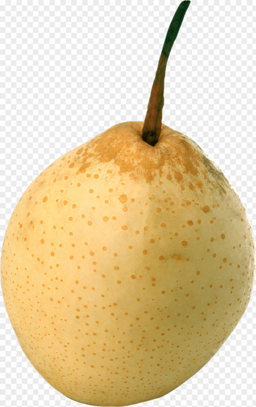 Ripe Pear Image Pyrus × Bretschneideri Fruit Nivalis PNG