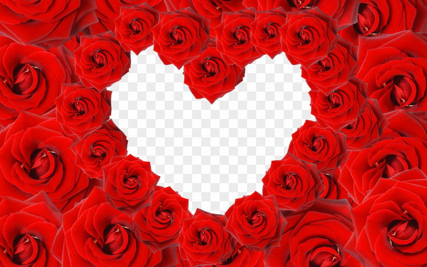 Rose Love Border Heart Valentines Day Wallpaper PNG