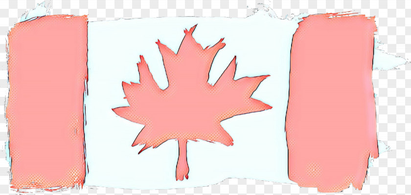 Soapberry Family Maple Canada Leaf PNG