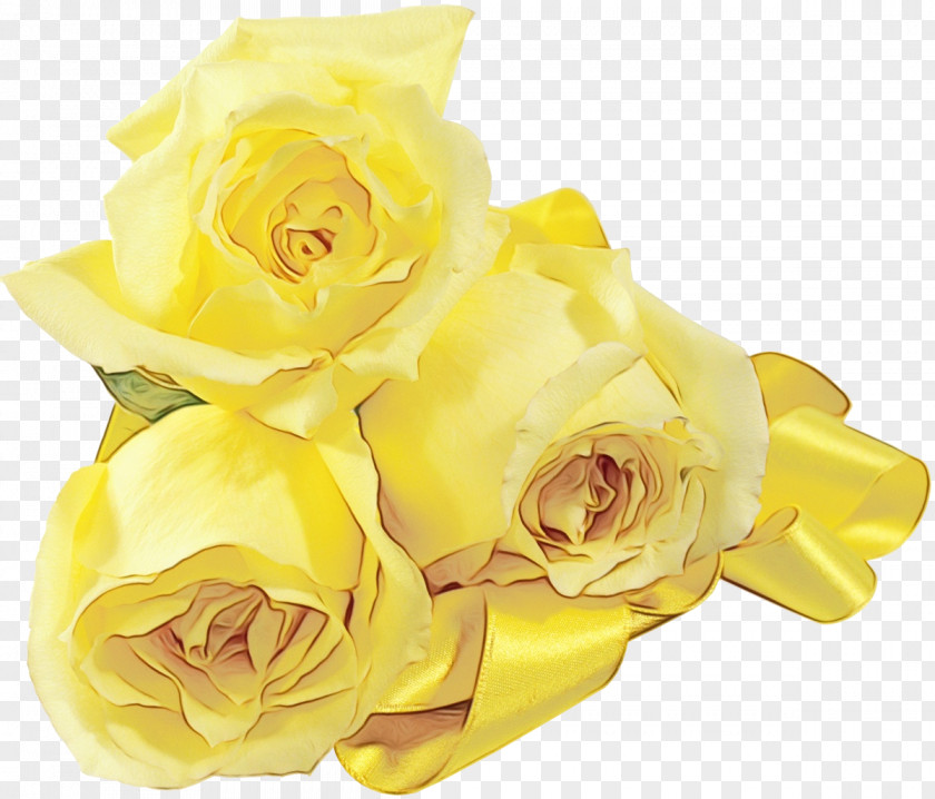Bouquet Petal Garden Roses PNG