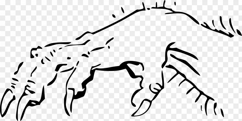 Claw Monster Hand Clip Art PNG
