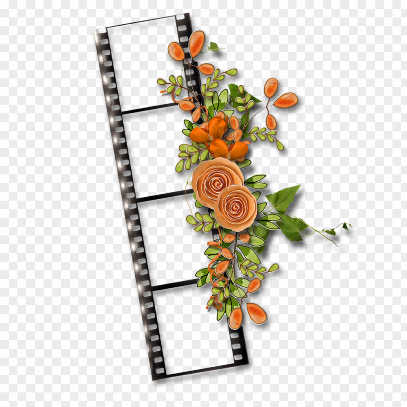 Floral Frame Cut Flowers Design PNG