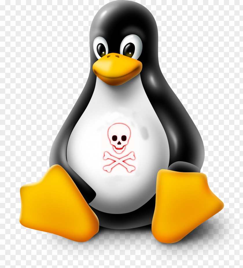 Linux Clip Art Tux Unix PNG