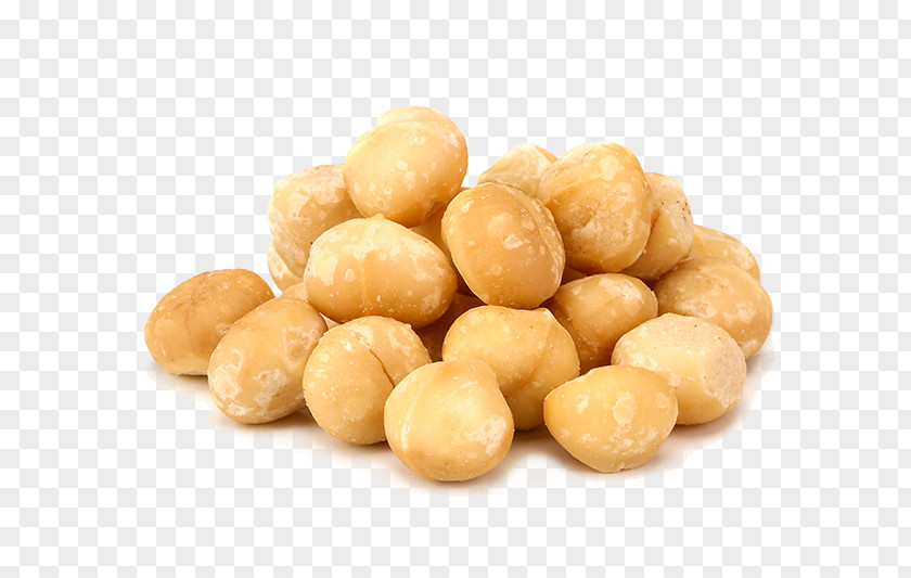 Macadamia Nut Chestnut Brazil Sugar PNG