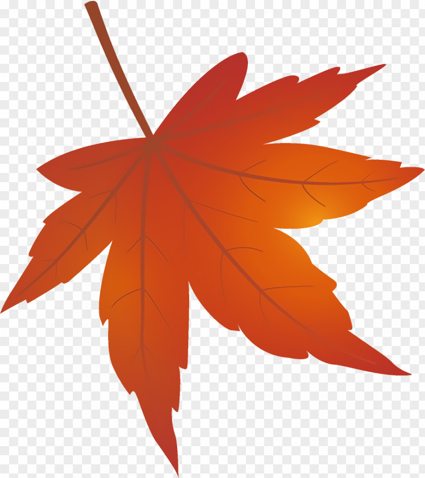 Maple Sweet Gum Leaf Autumn Yellow PNG