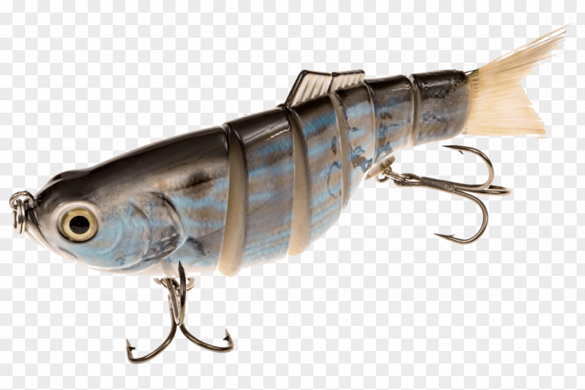 Sardine Spoon Lure Oily Fish Mackerel Perch PNG