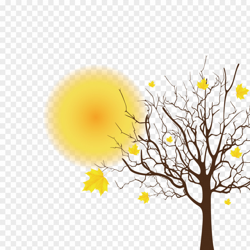 Vector Autumn Leaves Tree Spring Clip Art PNG