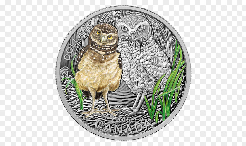 Canada Coin Royal Canadian Mint Silver PNG