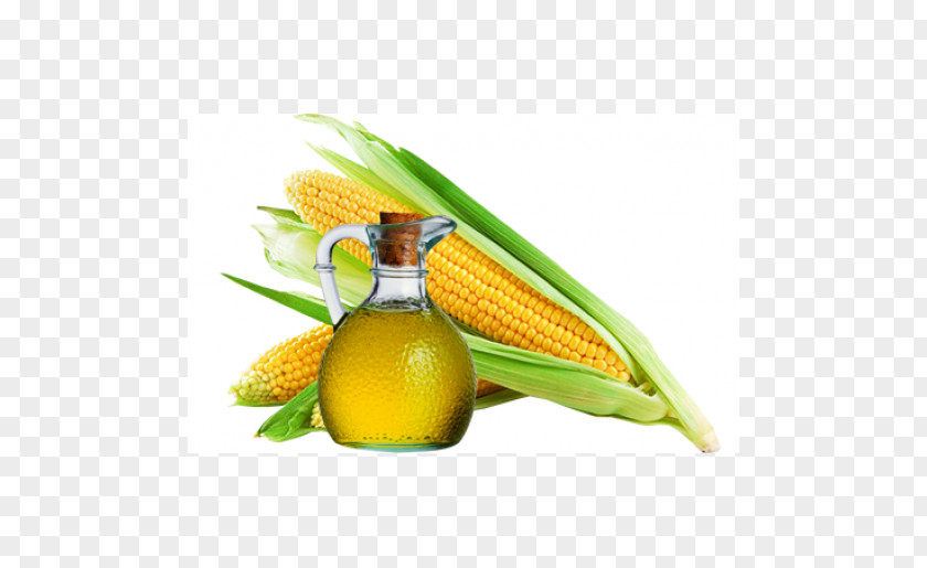 Candy Corn On The Cob Maize Oil PNG