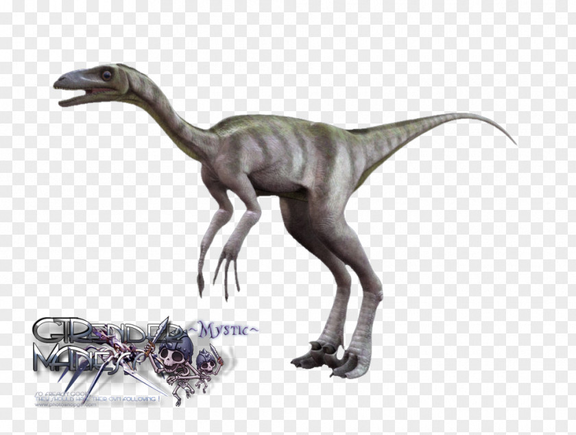 Dinosaur Velociraptor Troodon Tyrannosaurus .de PNG