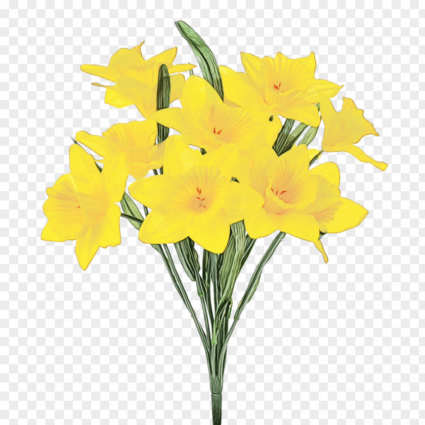 Flower Plant Yellow Cut Flowers Narcissus PNG