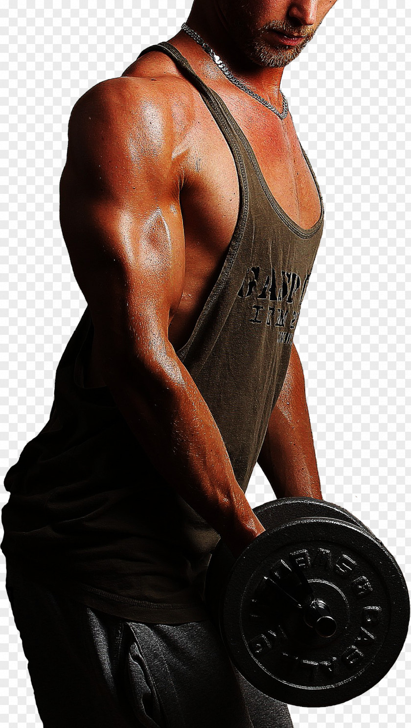 Biceps Curl Weight Training Shoulder Body Man PNG
