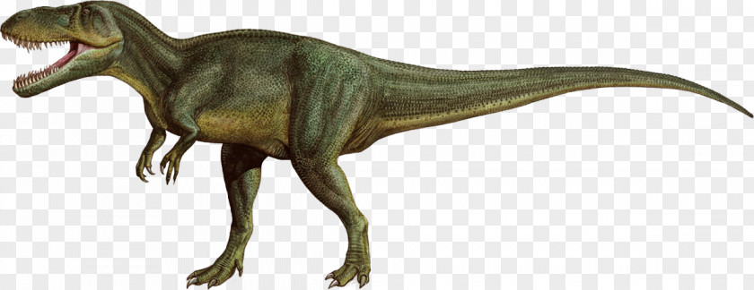 Dinosaur Torvosaurus Allosaurus Pentaceratops Late Jurassic PNG
