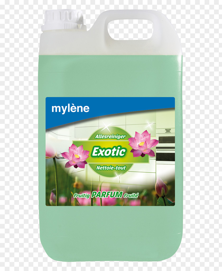 Mxylene Brand PNG