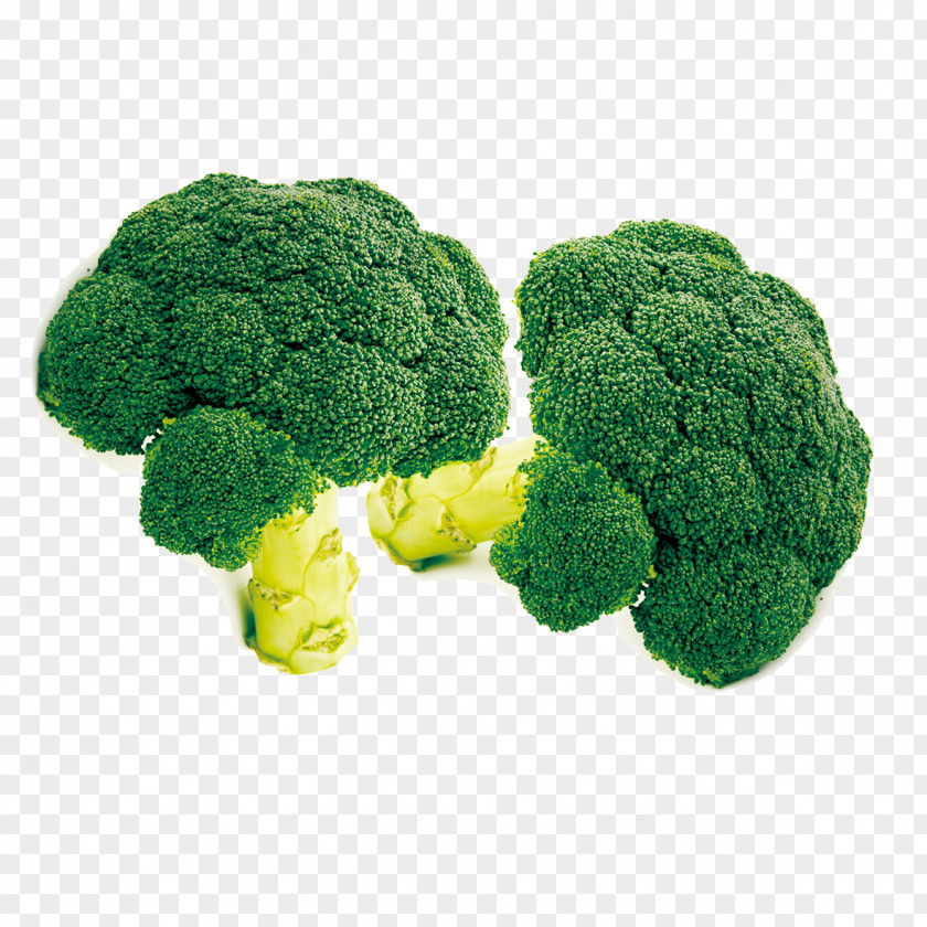 Cauliflower Broccoli Cabbage Vegetable Download PNG