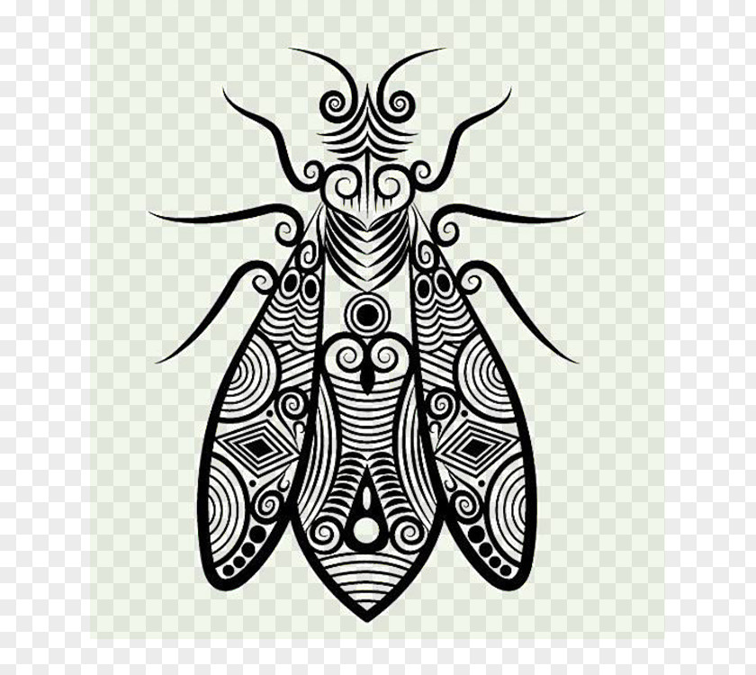 Cockroach Illustration Drawing Line Art Clip PNG