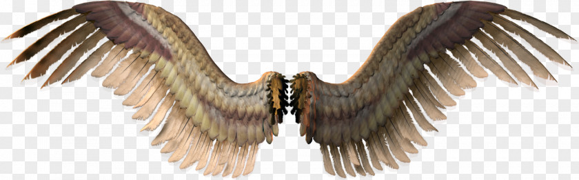 Devil Wings Wing Clip Art PNG