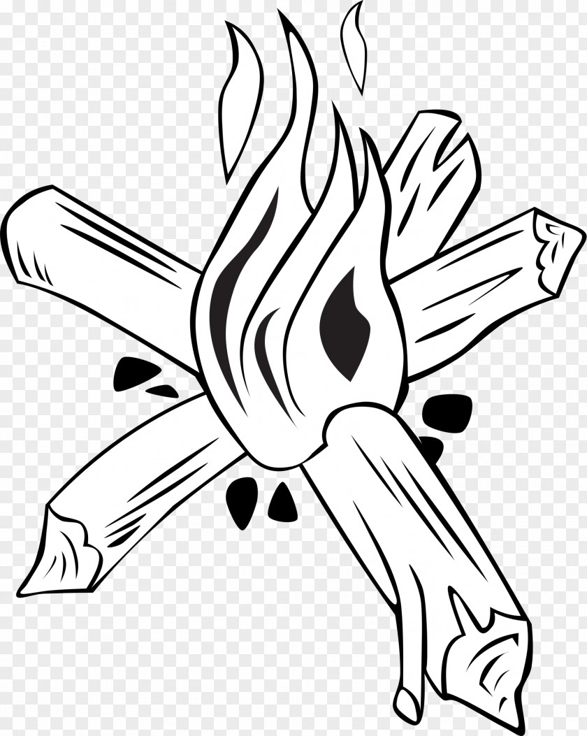 Pictures Of Campfires Fire Breathing Coloring Book Clip Art PNG