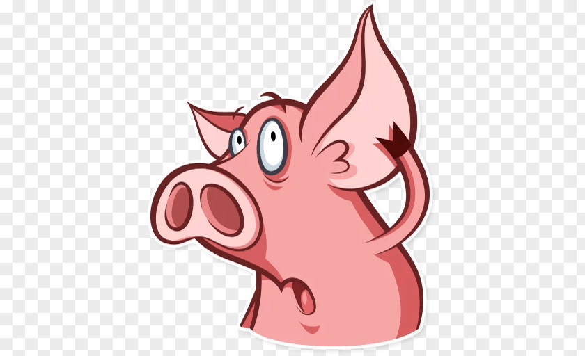 Pig Horse Snout Whiskers Clip Art PNG
