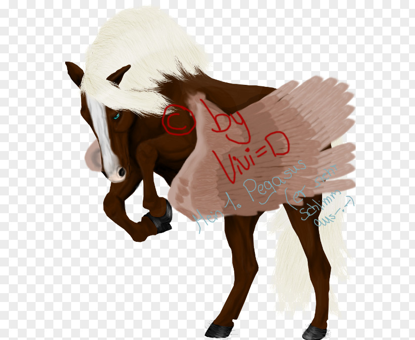 Reindeer Horse Fur PNG