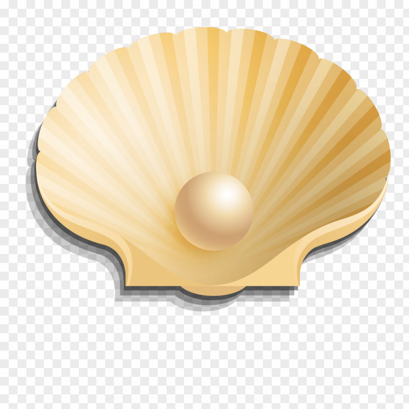 Seashells And Pearls Vector Seashell Pearl Euclidean PNG