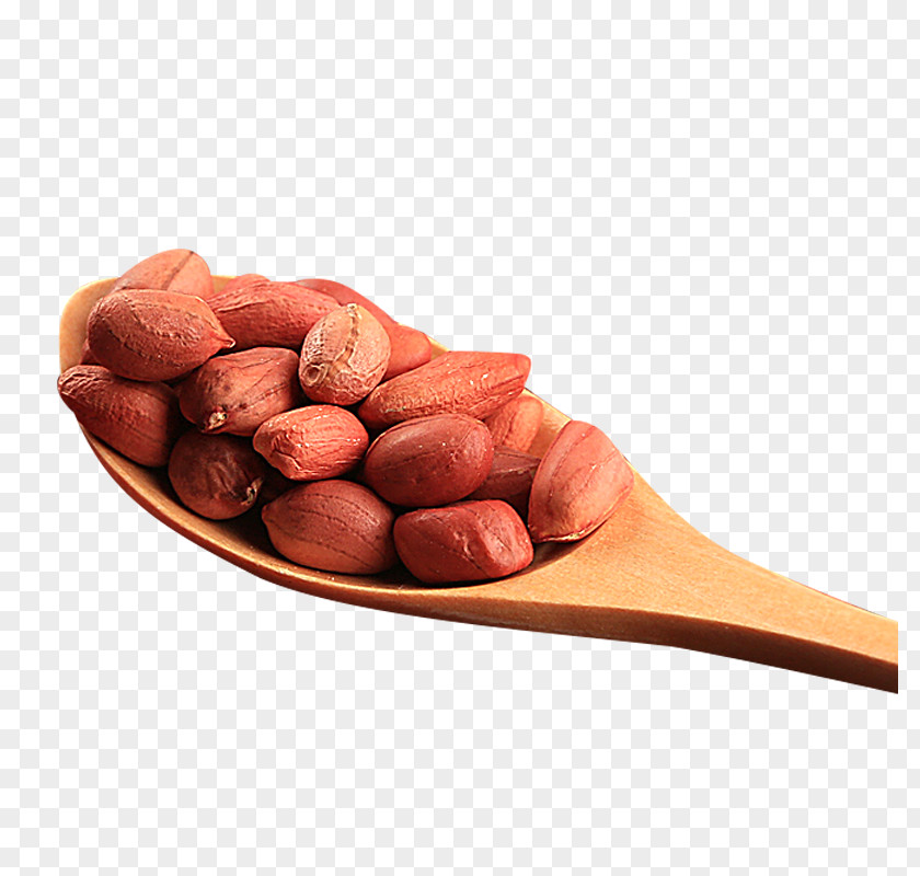 Spoon Of Peanuts Peanut Flour PNG