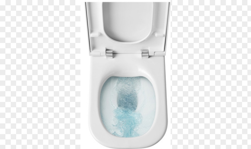 Toilet Roca Dual Flush Bathroom PNG