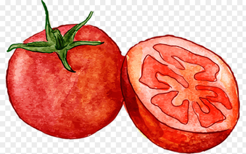 Tomato Pasta Health Food Fruit Salad PNG