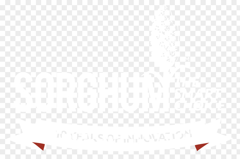 Design Brand Desktop Wallpaper PNG