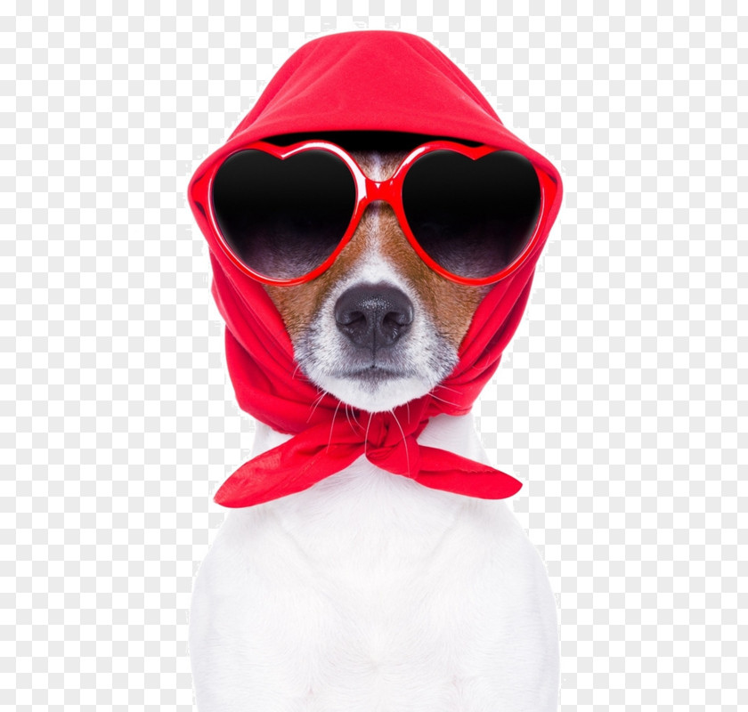 Dog Stock Photography Royalty-free Seam PNG