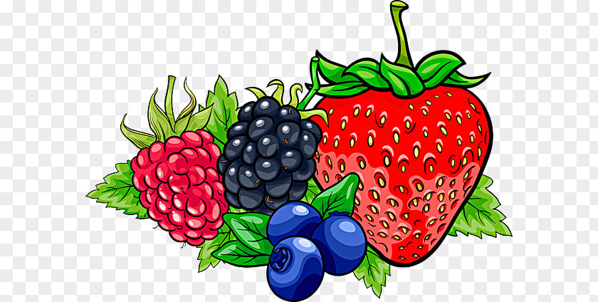 Hand-painted Pictures Of Various Fruits Frutti Di Bosco Cartoon Illustration PNG