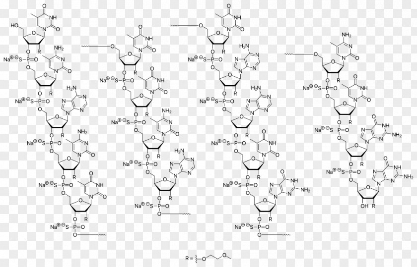Nusinersen Sodium Antisense Therapy Mipomersen Oligonucleotide PNG