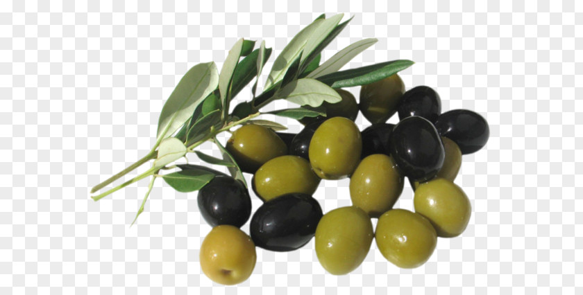 Olive Oil Vegetarian Cuisine Mediterranean PNG