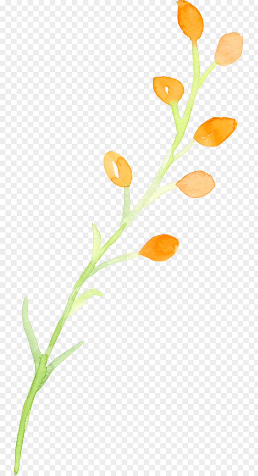 Painted Plants Painting Plant PNG