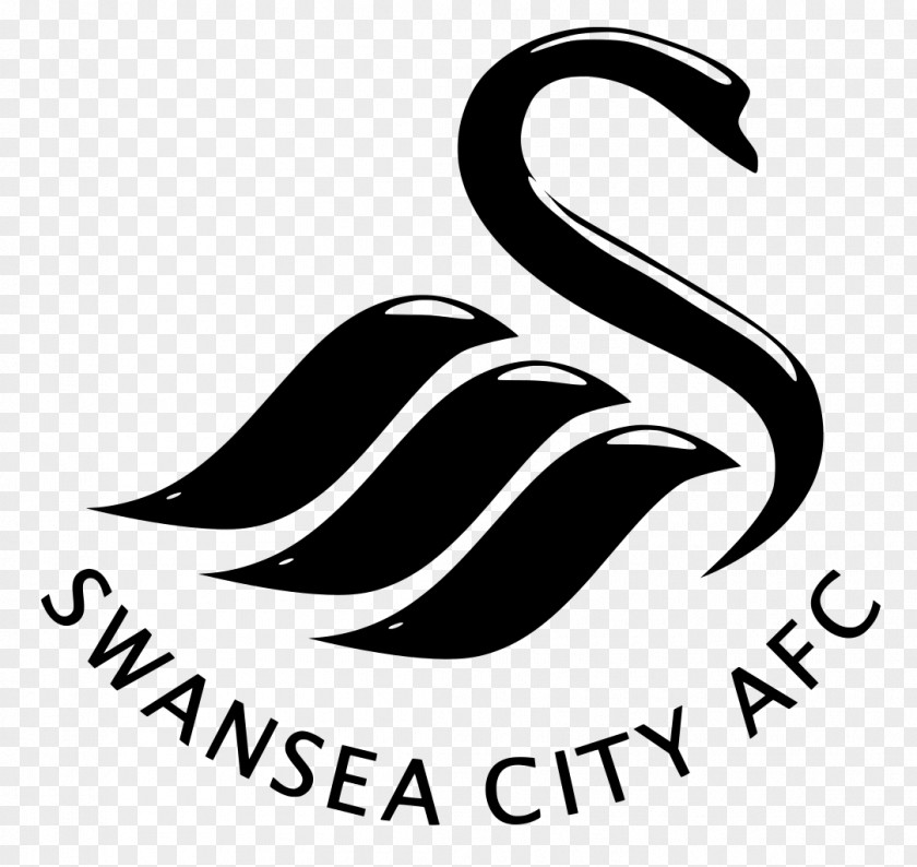 Premier League Swansea City A.F.C. Under-23s Manchester F.C. PNG
