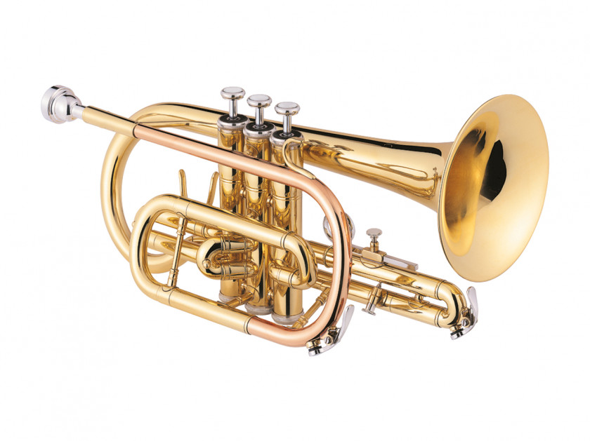 Saxophone Cornet Trumpet Brass Instrument Valve Instruments Clarinet PNG