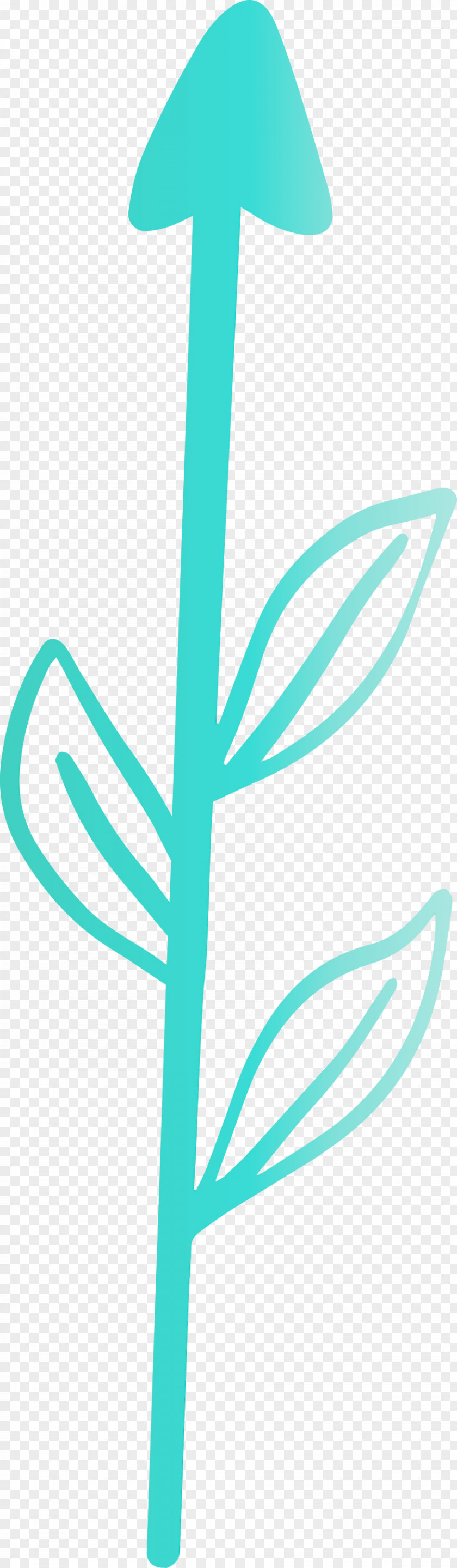 Turquoise Teal Line Logo PNG